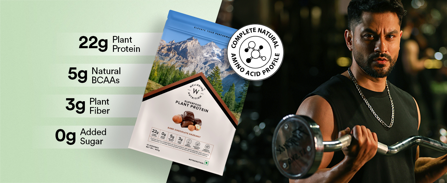 Wellbeing Nutrition Organic Vegan Plant Protein Isolate | 22g Protein, 5g BCAA, 3B CFU Probiotics, Enzymes, 3g Fiber, 5 Alkalizing Greens | NO Bloating, Easy to Digest | Dark Chocolate Hazelnut 500gm