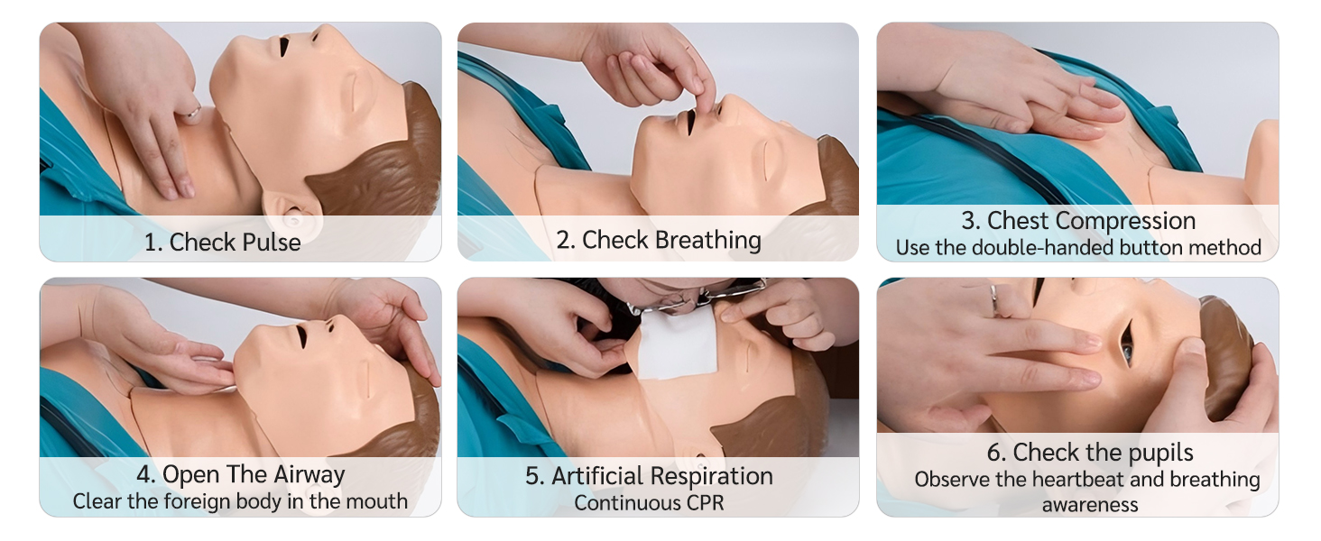 ELZEM Adult CPR Training Mannequin Rubber Mannequins First Aid Training in Cardiopulmonary Resuscitation for Teaching Training A
