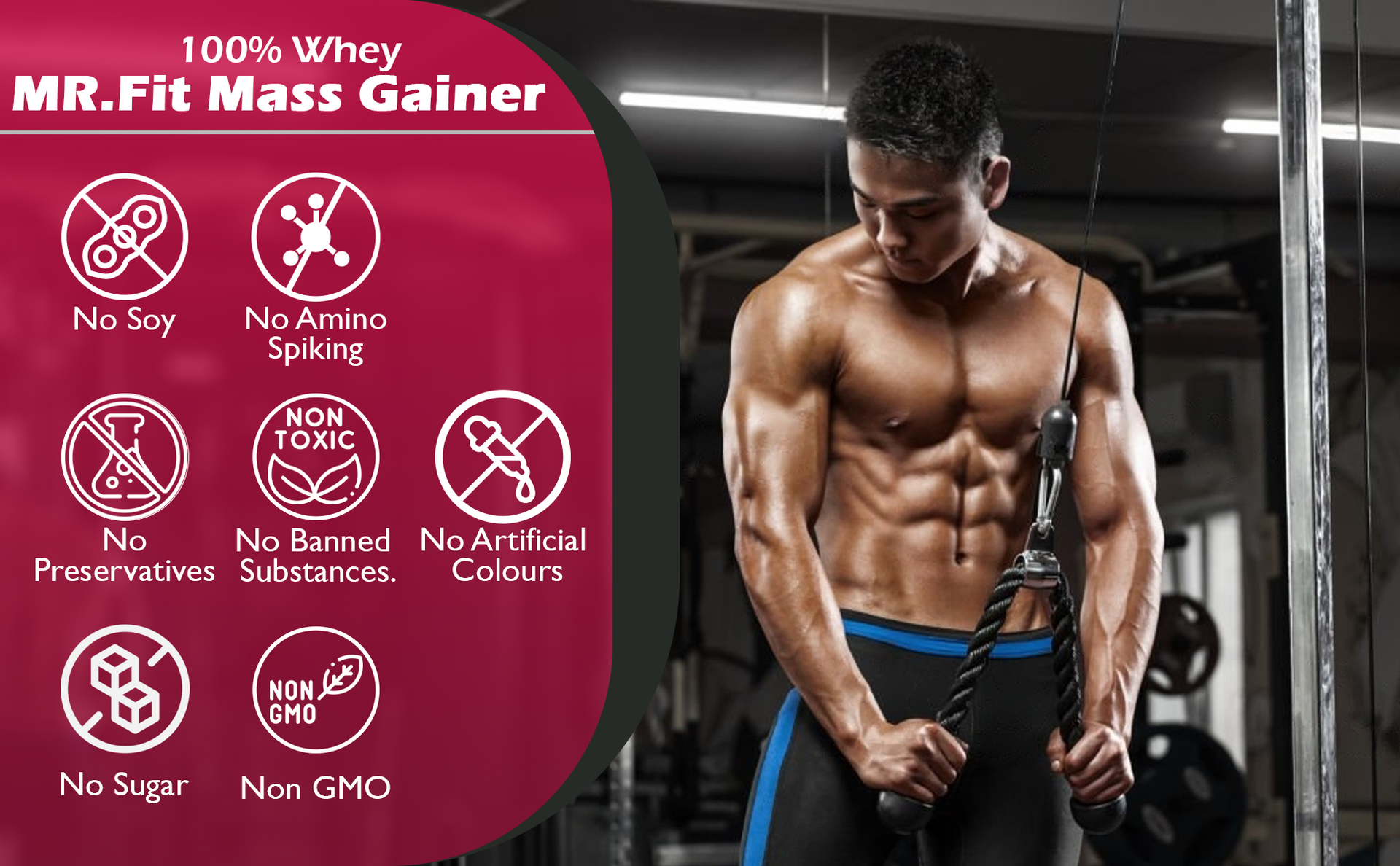 NAKPRO Mr. Fit Super Fast Weight Gainers/Mass Gainers Powder (1 Kg, Vanilla)