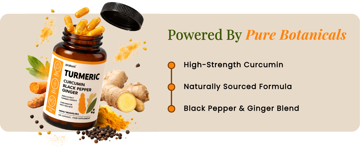 Turmeric Curcumin Capsules with Piperine (Black Pepper) & Ginger Root Extract | 95% Curcuminoids from Curcuma Longa | Anti-Inflammatory Joint Support Supplement for Men & Women | High Absorption Formula | Immunity & Antioxidant Support | 100% Natural