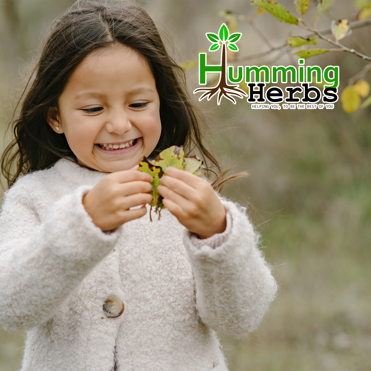 Humming Herbs Resveratrol 900mg per Serving - From Polygonum Cuspidatum Root 10:1 Extract - Single Active, No Blends - Vegetarian - 90 Capsules (45 Servings)