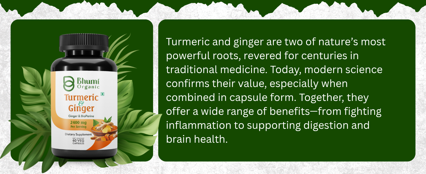 Turmeric Curcumin Capsules 2400mg