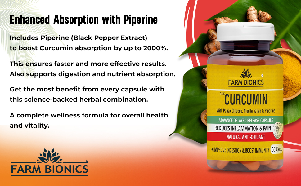 Curcumin Tablets with Piperine, 95% Curcumin, Ginger Root | Pure and Herbal Plant Based Turmeric Supplement for Inflammation, Joint Pain & Immunity Supplement for Adults - 60 Capsules