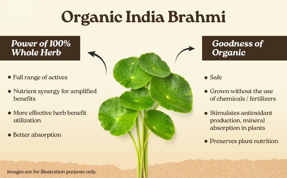 A TATA Product - Organic India Brahmi - 180 Veg Capsules, Naturally Promotes Concentration & Memory, Mental Fitness, Reduces Stress & Anxiety, GMP & NPOP Certified Organic