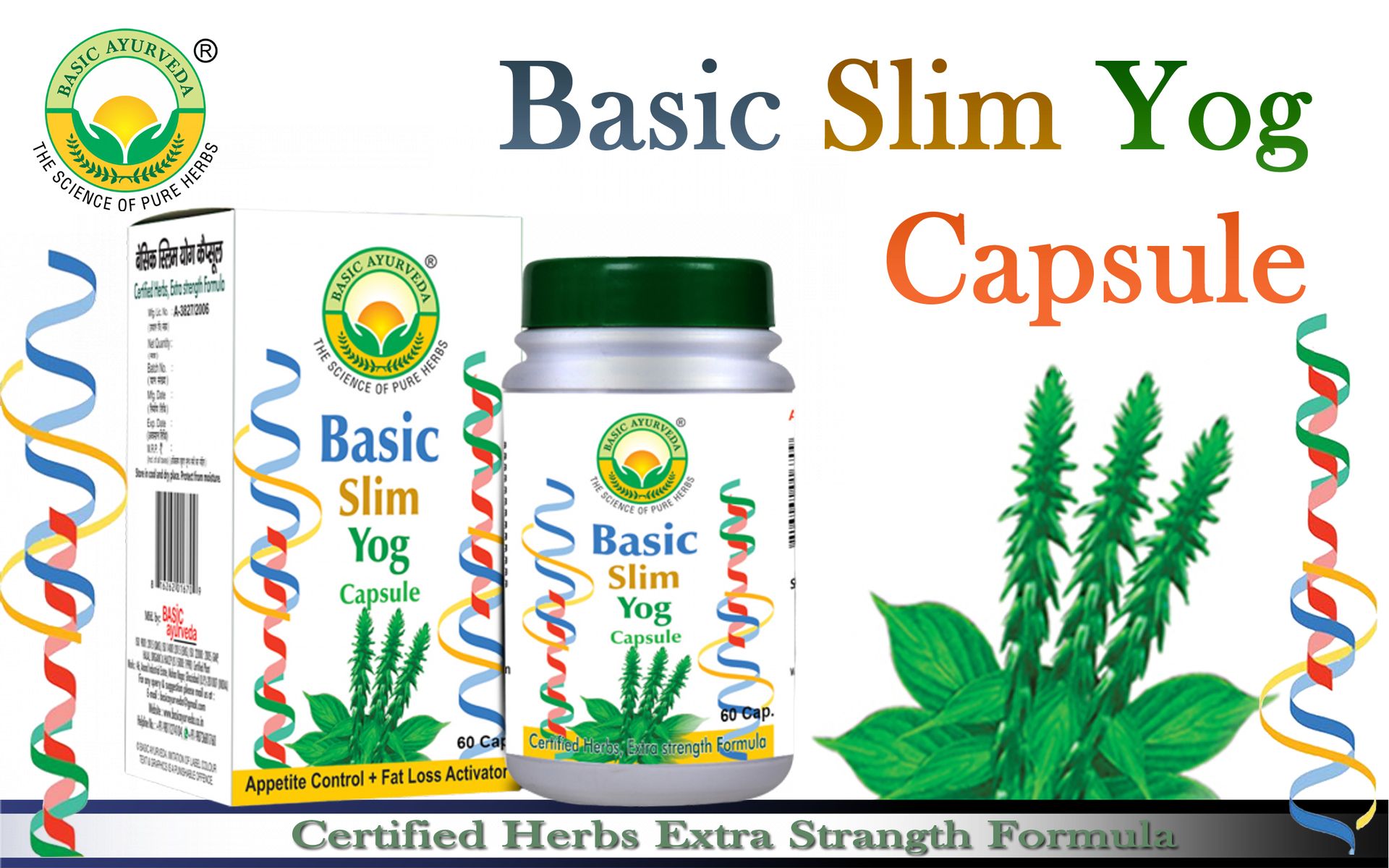 Basic Ayurveda Slim Yog 60 Capsules | Ayurvedic Herbal Supplement for Weight Management Support & Daily Wellness Formula