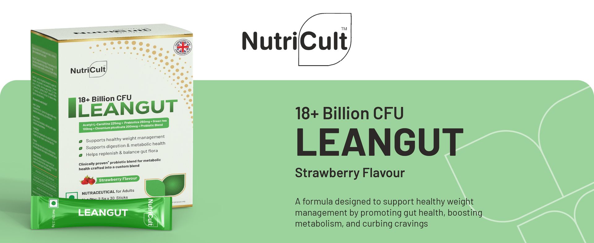 LeanGut Sticks with Acetyl L-Carnitine, Green Tea Extract & Probiotics | Gut Health, Metabolism & Digestive Support | For Men & Women | 30 Sticks | Strawberry