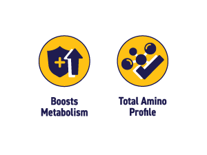 STROOM Protein Bar Pack | Asoorted | 20g Protein Bar | 4 Bars