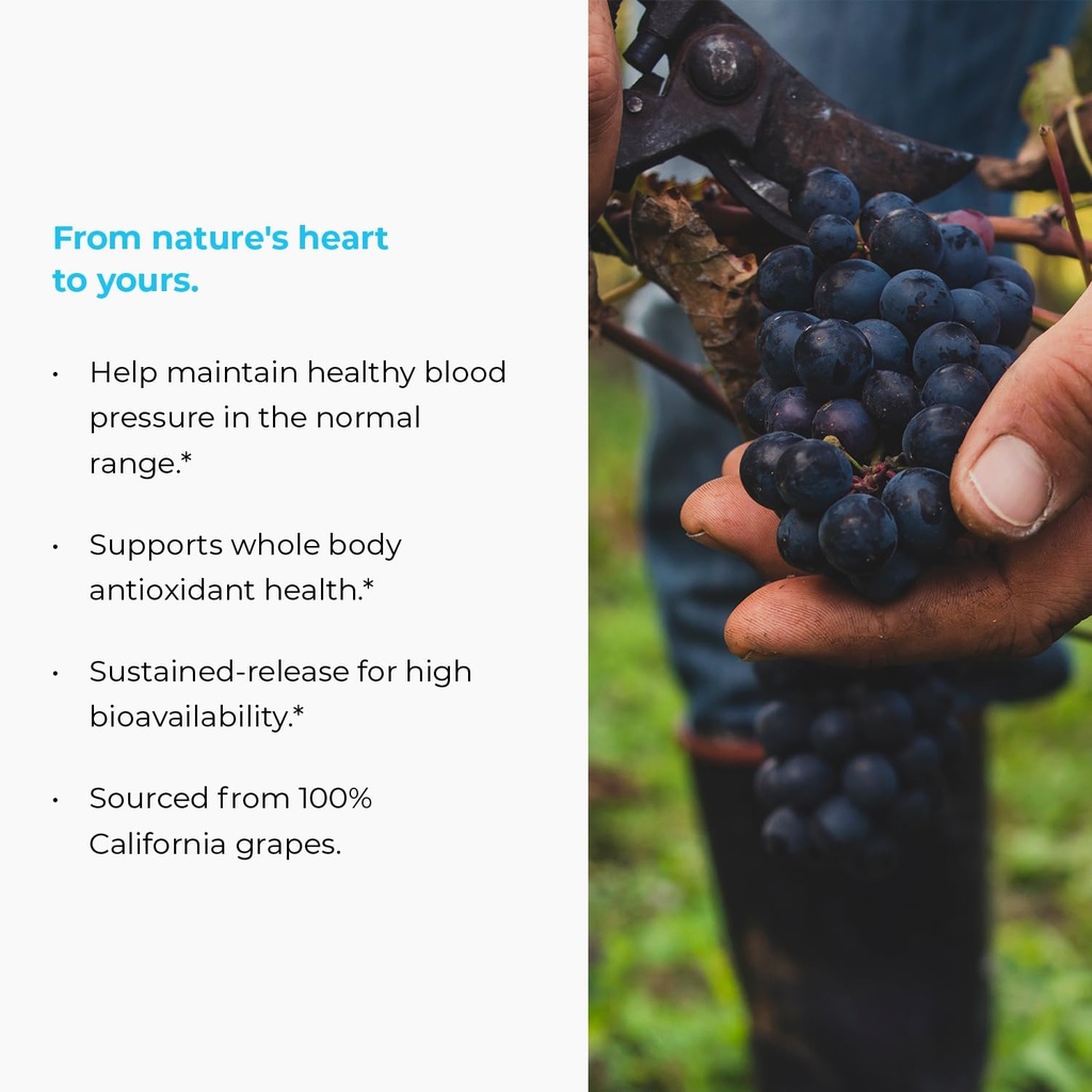 meganatural-bp-grape-seed-extract-supple-3.jpg