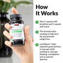 force-factor-probioslim-probiotics-for-w-4.jpg