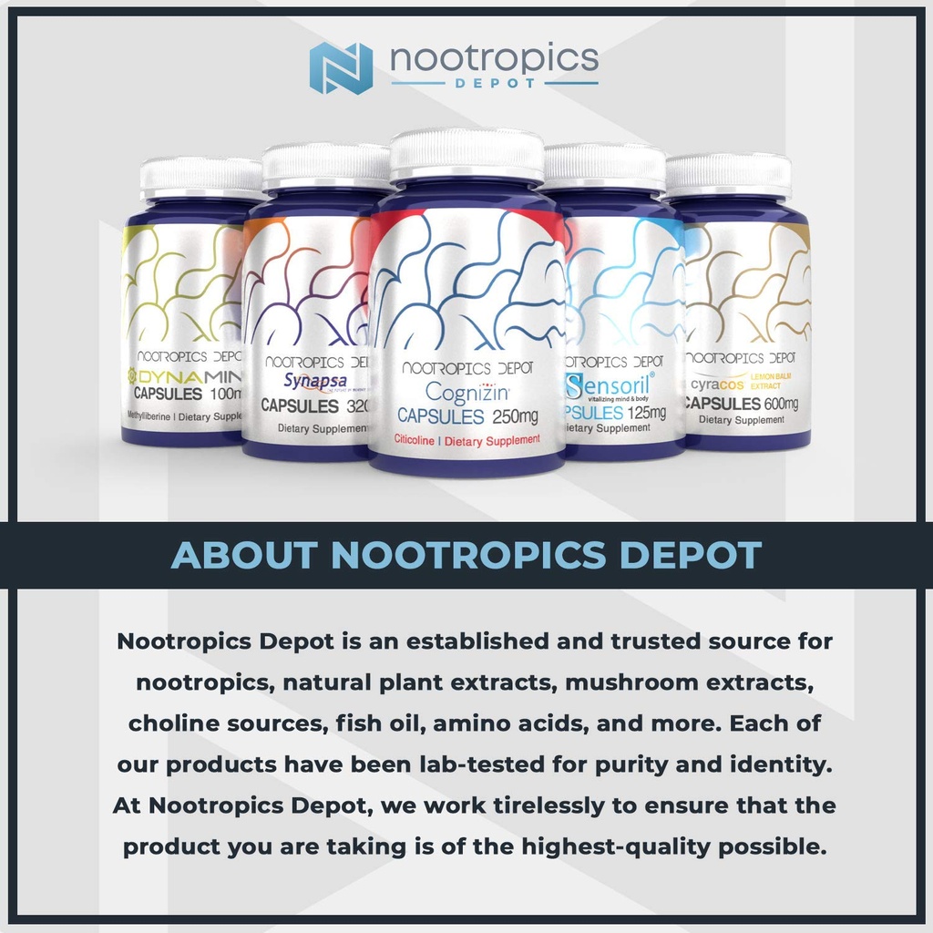nootropics-depot-sabroxy-oroxylin-a-powd-3.jpg