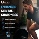 cerus-performance-focus-nootropic-supple-2.jpg