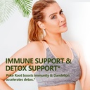 lymph-system-support-with-poke-root-drop-3.jpg