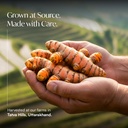 immunity-boost-turmeric-curcumin-drink-m-61stCnE5nWL.jpg