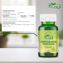 organic-zing-andrographolide-supplement--4.jpg