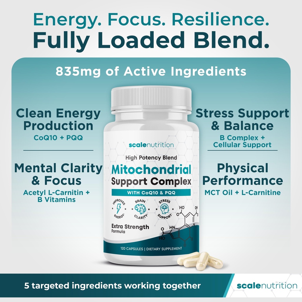mitochondrial-support-complex-energy-foc-81M7Na04U3L.jpg
