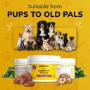 turkey-tail-mushroom-for-dogs---dog-vita-6.jpg