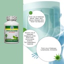 immuniherb-immune-support-supplement-her-6.jpg