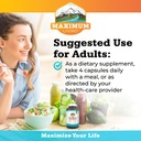 maximum-living---vita-sprout-whole-food--3.jpg