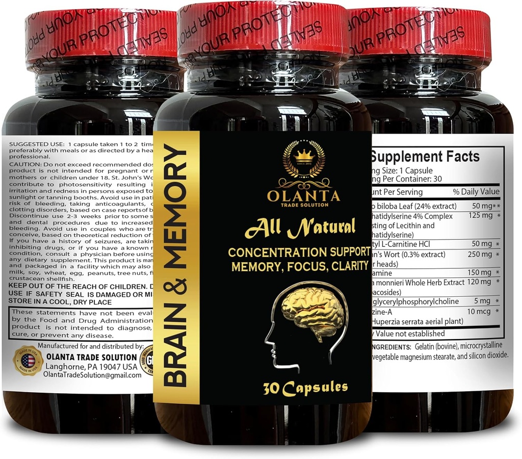 brain-memory-support---brain-function-an-6.jpg