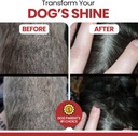 Omega for Dogs - 180 Delicious Soft Chews - Salmon Oil Treats for Skin and Coat, Itch Relief - Fish Oil Blend of Essential Fatty Acids, Omega 3, 6, and 9, and Vitamins - Smoked Bacon Flavor 5