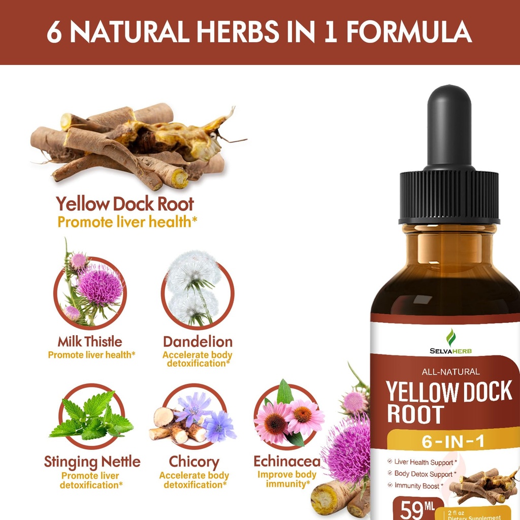 yellow-dock-root-organic-drops-for-liver-4.jpg