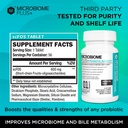 microbiome-plus-prebiotics-scfos-prebiot-2.jpg