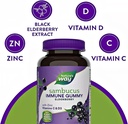 naturesway-sambucus-elderberry-gummies-w-4.jpg