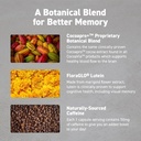 cocoavia-memory-focus-brain-supplement-3-4.jpg