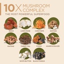 10-mushroom-complex-nootropic-brain-supp-5.jpg