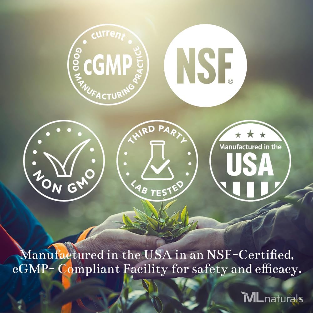 ML Naturals Champignons Complexe 120 Capsules de légumes. 6 Champignons essentiels: Reishi biologique, Lion's Mane, Cordyceps, Healthy Imune Support, NSF-Certified & cGMP-Compliant.