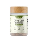 Snap Suppléments Olive Leaf Extract Capsules - Super Strength 40% Oleuropein pour le soutien du flux sanguin, améliorer la digestion, supplément boost antioxydant, améliorer la fonction cérébrale (60 capsules)