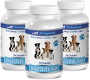 enzymes digestives pour chiens 8 oz - DOG DIGESTIVE AID PROBIOTICS - APPROCHE NATURELLE - SOLUTION À LA BANDE DE BRET ET DE GAZ - COUNTER DIARRHEA - chien probiotiques usa - 3 bouteilles (180 traités)