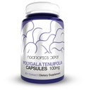 Nootropics Depot Polygala tenuifolia Capsules de 100mg de 100mg de 180 Comte de 20:1 Extrait Yuan Zhi