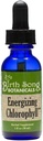 Chanson de naissance Botaniques énergisant la teinture de la chlorophylle, gouttes de chlorophylle liquide super concentrées, supplément de soutien énergétique à base de plantes et désodorisant interne, flacon de 1 oz à la menthe
