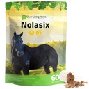 Argent Ling Herbes Nolasix Lung & Suppléments de Circulation pour Chevaux – Supplément de Cheval Herbal Naturel pour Circulation, Santé Cœur & Soutien Lung – Respiration normale et soutien vasculaire – 1 lb