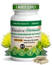 Soutien immunitaire, Booster d'énergie avec supplément de vitamine C, D3 et zinc, Rhodiola Rosea, Reishi Extrait de champignons, Astragalus, Wellness global et Habit quotidien - 60 Capsules