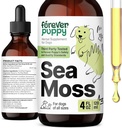Pour toujours Puppy Irish Sea Moss Drops for Dogs - Thyroïde & Energy Support for All Breeds & Sizes - Suppléments alimentaires pour chiens avec extrait de liquid Seamoss - Vitamines et suppléments - Sucre et sans alcool -4 oz