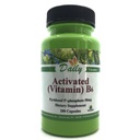Fabrication quotidienne de vitamine active B6