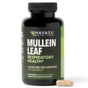 Mullein Leaf Capsules pour la santé respiratoire - 5000mg Extrait 10:1 pour le soutien pulmonaire et la fonction immunitaire - 90 Compte - Végétaux, capsules non OGM - Supplément à base de plantes pour le mieux-être quotidien - Approvisionnement de 3 mois