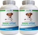 Allergy Immune Bites pour chiens Flavor d'agneau - Soutien du système immunitaire des chiens - Santé du foie et du rein - puissant ANTIOXIDANTS - Formule naturelle - Capsules de queue de dinde Chien - 2 bouteilles (120 traités)