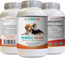 probiotique Relief for Dogs - Dog PROBIOTICS - Mauvais souffle et solution de gaz de passage - Santé buccodentaire - Dog acidophilus - 1 bouteille (60 préparations)