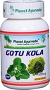 Planète Ayurveda Gotu Kola, 500mg Capsules de légumes-Bouteille unique