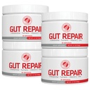 Silver Fern Gut réparation - supplément de santé digestif poudre L-glutamine, Curcumine, zinc, acide ascorbique