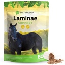 Herbes argentées Laminae Support Horse Supplements Laminitis & Founder Support for Horse - Soutien à la mobilité, aux pieds endoloris, aux tissus mous et aux meilleurs manteaux - Herbal Hoof Complements for Horses - 1 LB