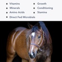 Mega-Mag (25lb) Supplément multivitamine/minéral équilibré pour les régimes Alfalfa Hay