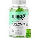 Gummies de la mousse de mer - Natural Irish Sea Moss and Bladderwrack with Burdock Gummy - 60 Gummies - Vegan - Healthy Immune, Gut & Global Wellness Support - Herbal Alkaline Suppléments