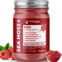 WELLNESS LABSRX Irish Sea Moss Gel Raw - Wildcrafted Superfood Seamoss Gel - Raspberry Flavor, Vitamine et Mineral-Rich de Pristine Caribbean Waters, Immune and Digestive Health Support - 10 oz.