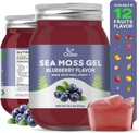 Gel de mousse de mer - 18.5oz Blueberry Flavor Gel cru nutritif de mousse de mer dans les minéraux, protéines et vitamines, Vegan-Afriendly, 2 Tablespoon Daily