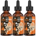 Drops complexes de champignons liposomiques 2000 MG - 20 extraits organiques de champignons - Formule liquide avancée pour l'immunité, la cognition et la mémoire - Supplément de la Mane des Lions, Reishi, Cordyceps, Chaga, 90 portions
