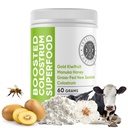 Fortitude intestinale augmentée Colostrum Superfood Supplément diététique : Colostrum bovin de Nouvelle-Zélande alimenté par l'herbe, kiwis dorés, miel de Manuka, pour la digestion, système immunitaire et santé Gut (150 grammes)